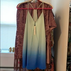 Alice + Olivia Ombré Shift Dress